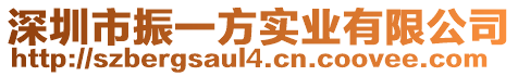 深圳市振一方實業有限公司