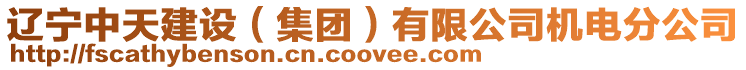 遼寧中天建設（集團）有限公司機電分公司