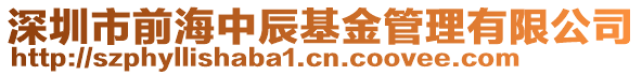 深圳市前海中辰基金管理有限公司