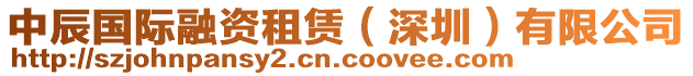 中辰國際融資租賃（深圳）有限公司