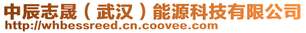 中辰志晟（武漢）能源科技有限公司
