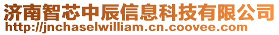 濟南智芯中辰信息科技有限公司