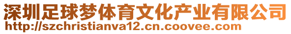 深圳足球夢(mèng)體育文化產(chǎn)業(yè)有限公司
