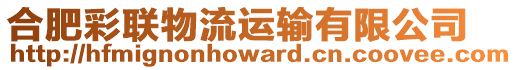 合肥彩聯物流運輸有限公司