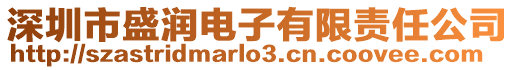 深圳市盛潤電子有限責任公司