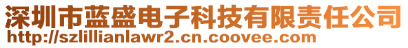 深圳市藍(lán)盛電子科技有限責(zé)任公司