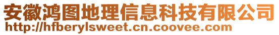 安徽鴻圖地理信息科技有限公司