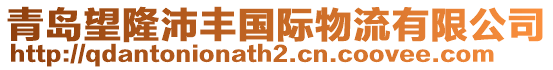 青島望隆沛豐國際物流有限公司