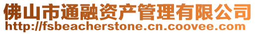 佛山市通融資產管理有限公司
