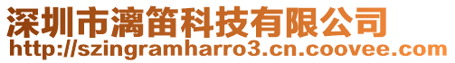 深圳市漓笛科技有限公司