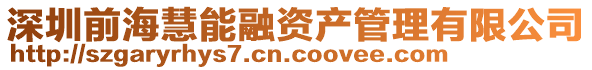 深圳前海慧能融資產管理有限公司
