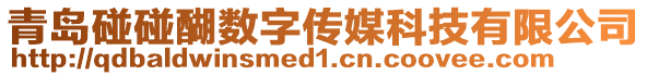青島碰碰醐數(shù)字傳媒科技有限公司