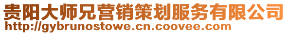 貴陽大師兄營銷策劃服務有限公司