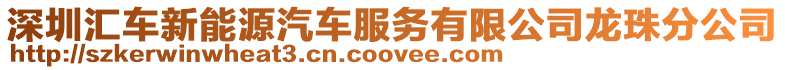 深圳匯車新能源汽車服務有限公司龍珠分公司