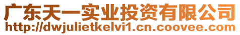 廣東天一實業投資有限公司