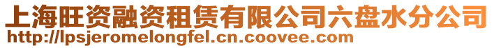 上海旺資融資租賃有限公司六盤水分公司