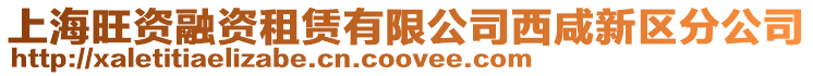 上海旺資融資租賃有限公司西咸新區分公司