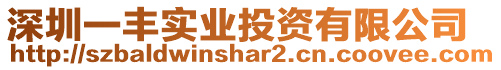 深圳一豐實業投資有限公司
