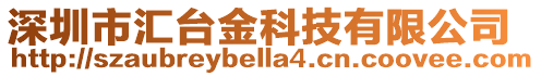 深圳市匯臺金科技有限公司