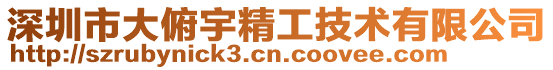 深圳市大俯宇精工技術(shù)有限公司