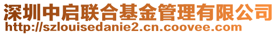 深圳中啟聯合基金管理有限公司