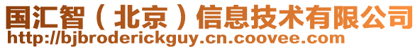 國匯智（北京）信息技術有限公司