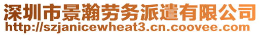 深圳市景瀚勞務派遣有限公司