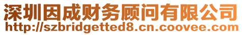 深圳因成財務顧問有限公司