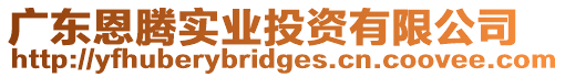 廣東恩騰實業(yè)投資有限公司