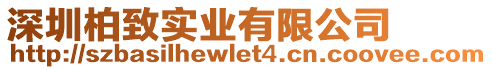 深圳柏致實業(yè)有限公司