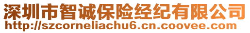 深圳市智誠保險經(jīng)紀(jì)有限公司