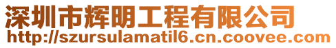 深圳市輝明工程有限公司
