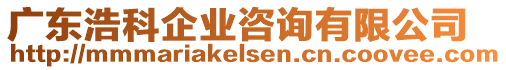 廣東浩科企業(yè)咨詢有限公司