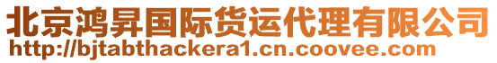 北京鴻昇國(guó)際貨運(yùn)代理有限公司