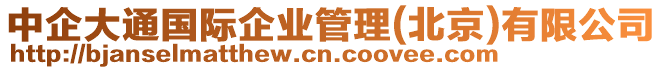 中企大通國(guó)際企業(yè)管理(北京)有限公司