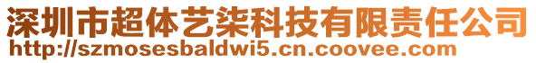 深圳市超體藝柒科技有限責(zé)任公司