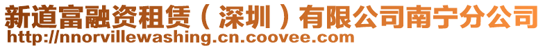 新道富融資租賃(深圳)有限公司南寧分公司
