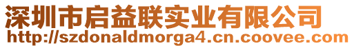 深圳市啟益聯(lián)實業(yè)有限公司