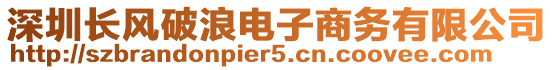 深圳長風破浪電子商務有限公司