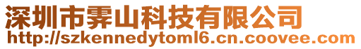 深圳市霽山科技有限公司
