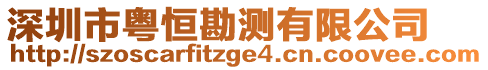 深圳市粵恒勘測有限公司