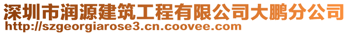 深圳市潤源建筑工程有限公司大鵬分公司