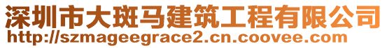 深圳市大斑馬建筑工程有限公司