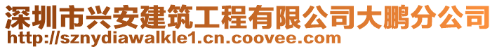 深圳市興安建筑工程有限公司大鵬分公司
