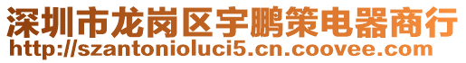 深圳市龍崗區宇鵬策電器商行