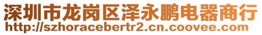 深圳市龍崗區(qū)澤永鵬電器商行