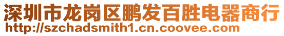 深圳市龍崗區(qū)鵬發(fā)百勝電器商行