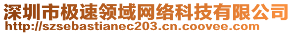 深圳市極速領(lǐng)域網(wǎng)絡(luò)科技有限公司