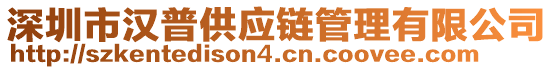 深圳市漢普供應鏈管理有限公司