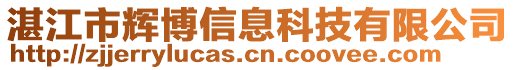 湛江市輝博信息科技有限公司